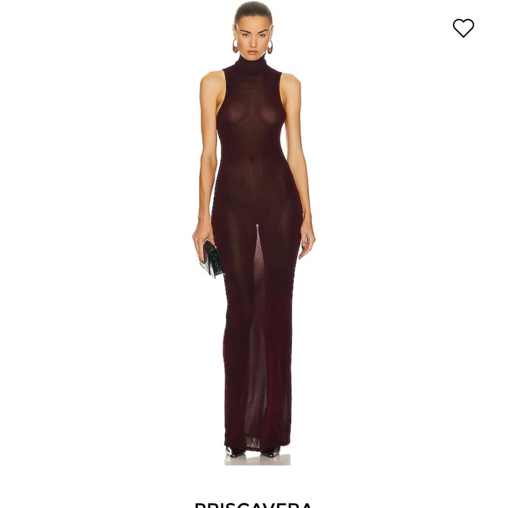 Priscavera Velvet Mesh Turtleneck